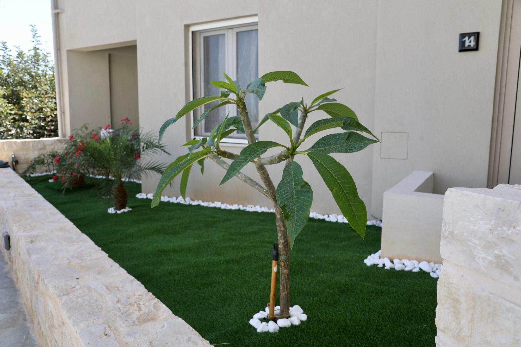 Sandika Apartments Hersonissos (Crete) Exterior foto